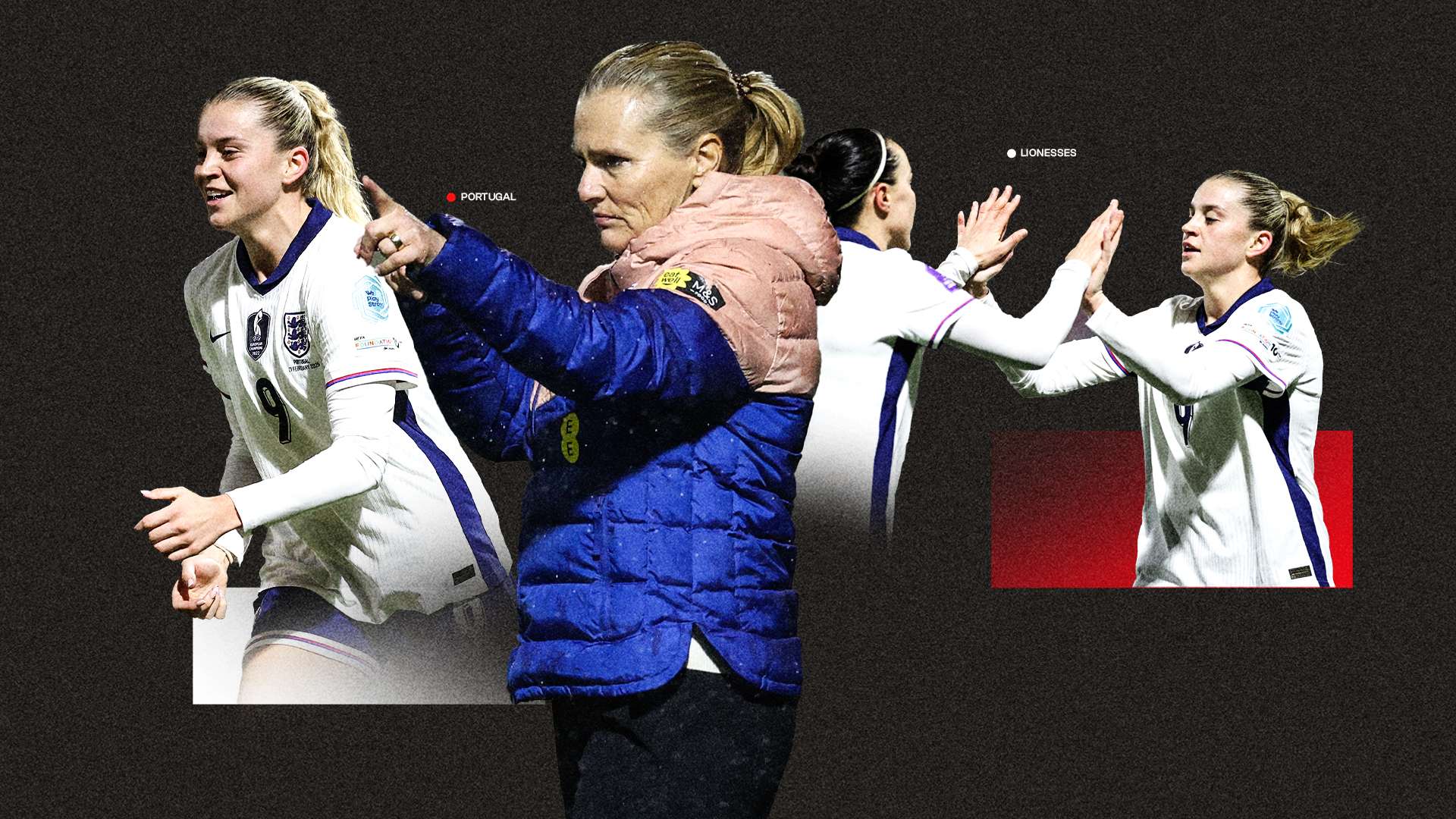 不仅提供相 不仅提供相